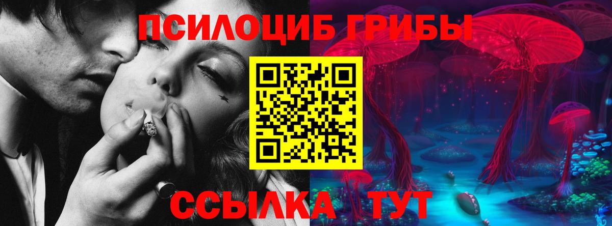 Галлюциногенные грибы мицелий  Вход с VPN  Солнечногорск 